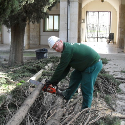 Abbattimento controllato Bari