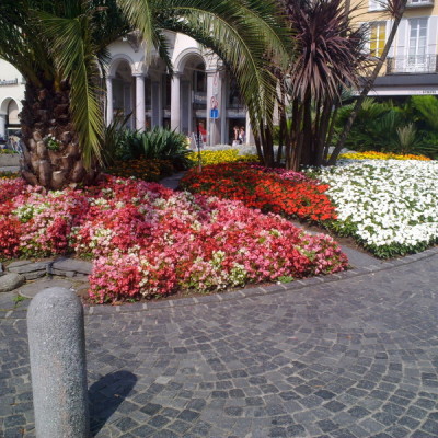 Giardino fiorito