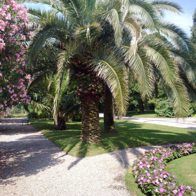 Giardino pubblico 5