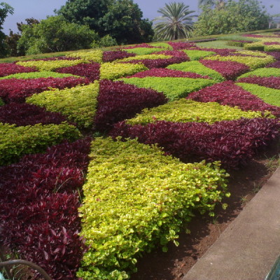 Giardino pubblico 7