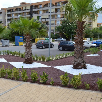 Progettazione giardino zen Casamassima