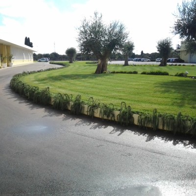 Realizzazione giardino Bari