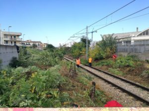 POTATURA DI PIANTE INFESTANTI I BINARI FERROVIARI